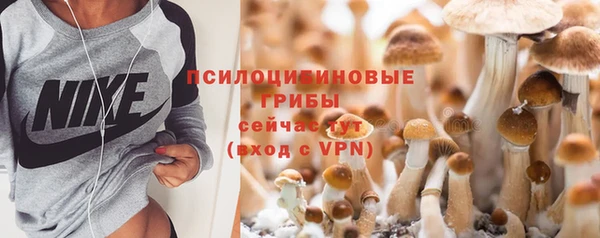 Альфа ПВП Нязепетровск