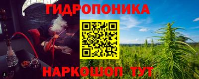 крисы Бийск