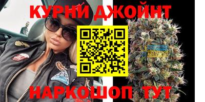 крисы Бийск