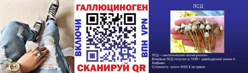 магазин продажи наркотиков Кировск Галлюциногенные грибы мицелий