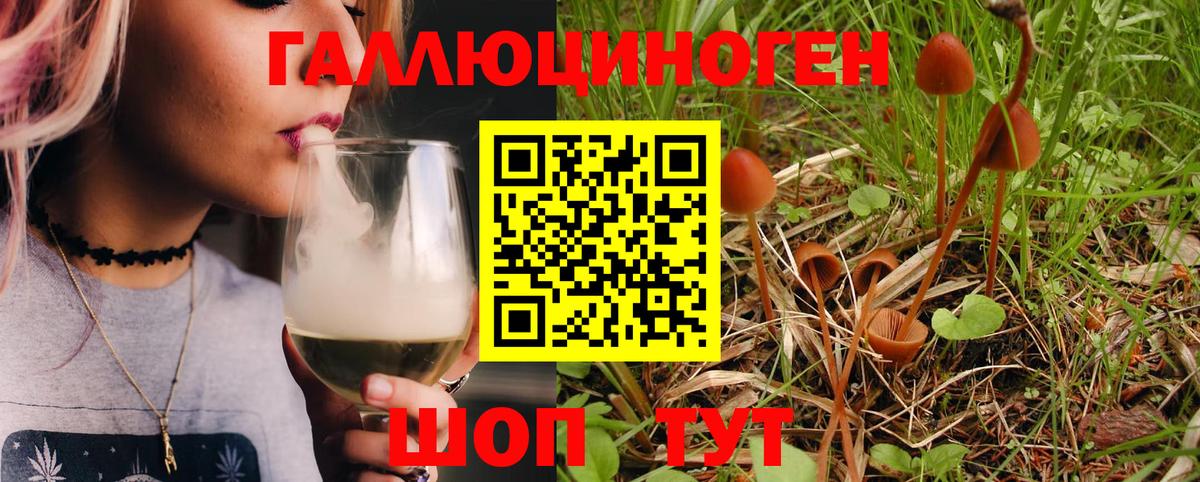 Галлюциногенные грибы GOLDEN TEACHER Кировск